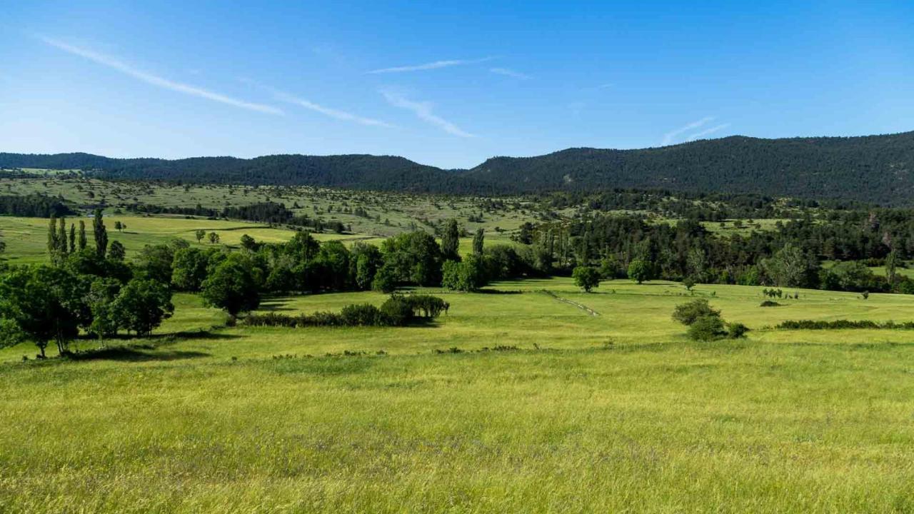 Eco-Apartaments Cal Rossa De Taus Esterno foto