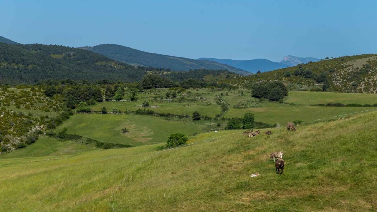Eco-Apartaments Cal Rossa De Taus Esterno foto